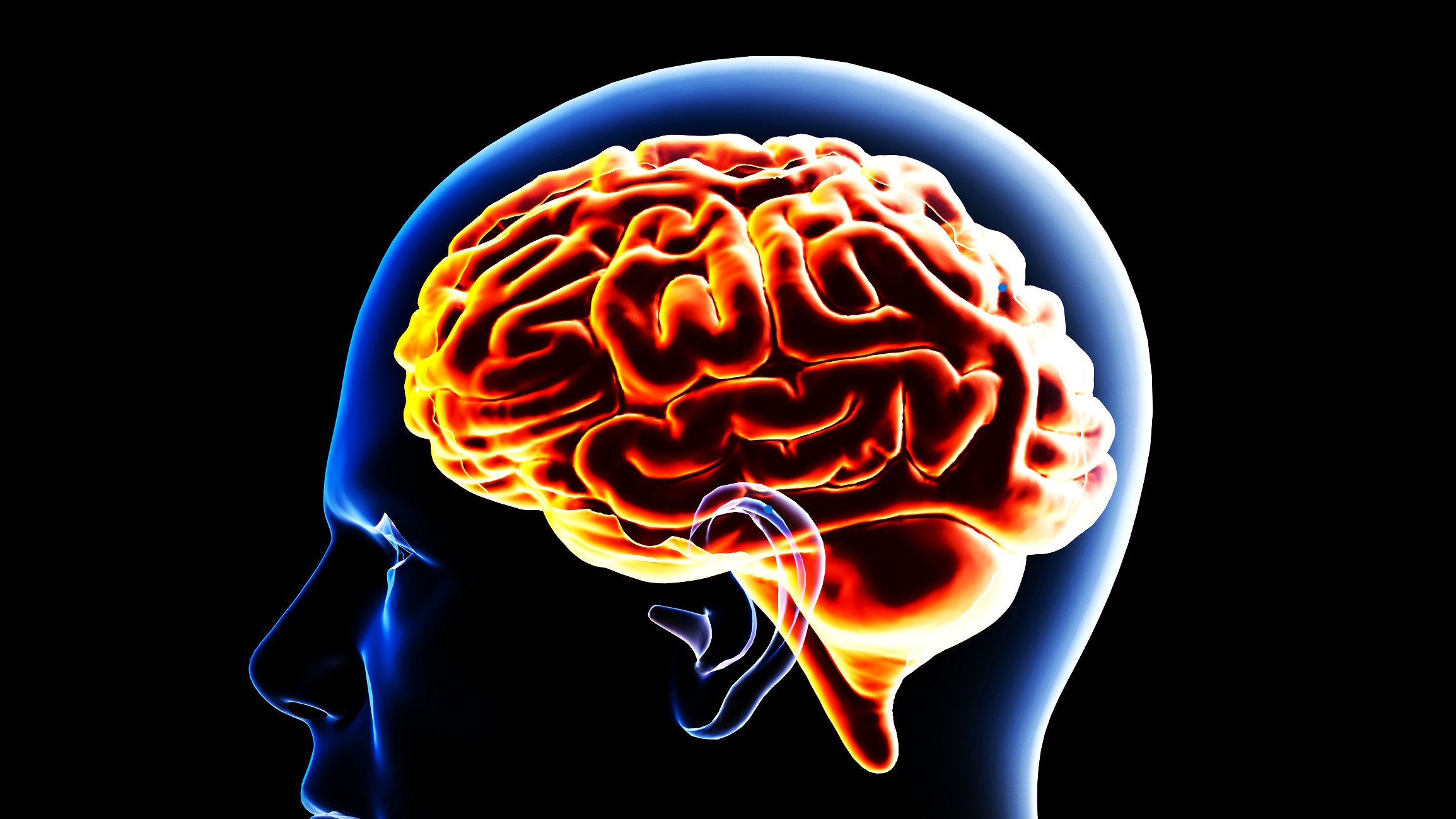10 tips for a healthier brain